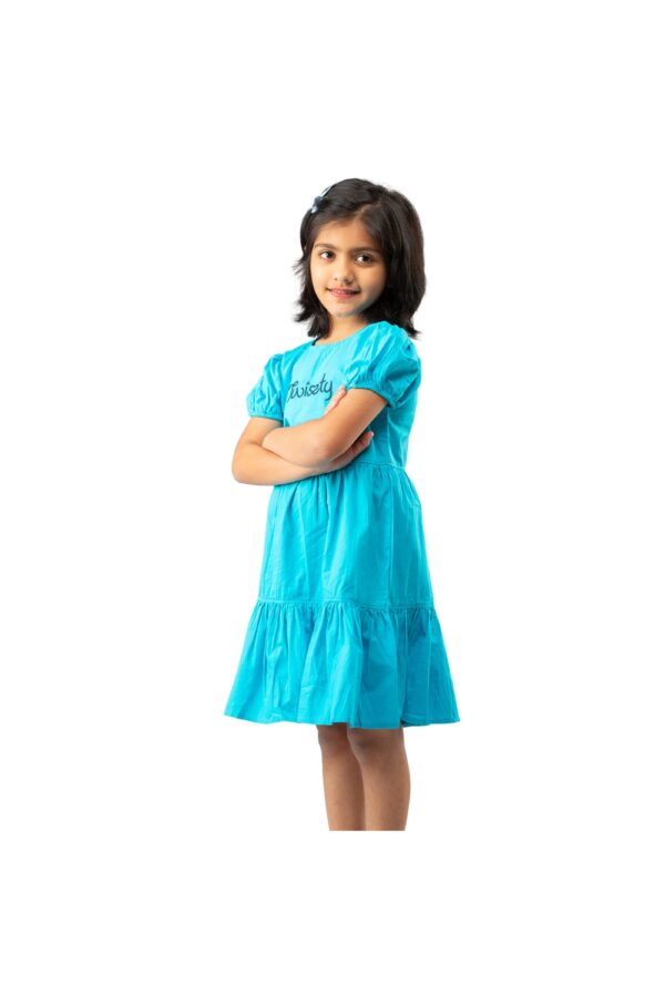 Buy Girls Aqua Chest Embroidered Dress with Puff Sleeve online at Best Price